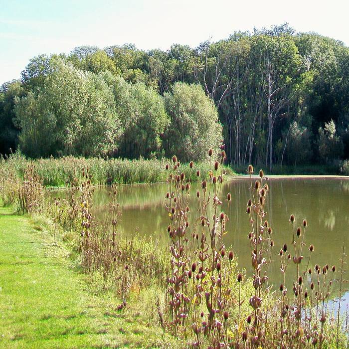 Photo de Château dOgnon